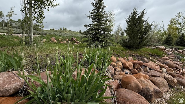 2736 N Evergreen Park Dr Unit 300, Huntsville, UT 84317