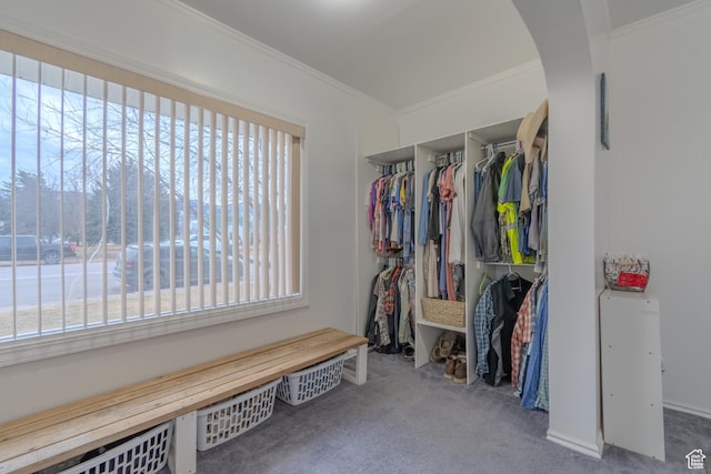 906 S Main St, Grace, ID 83241 - walk in closet featuring carpet flooring and arched walkways