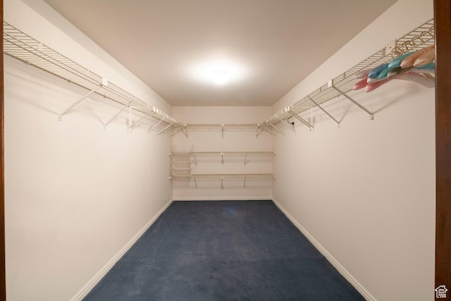 426 S 1000 E Unit 600, Salt Lake City, UT 84102 - walk in closet featuring carpet floors