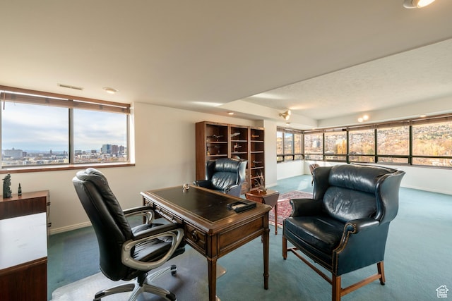 426 S 1000 E Unit 600, Salt Lake City, UT 84102 - office area featuring carpet floors