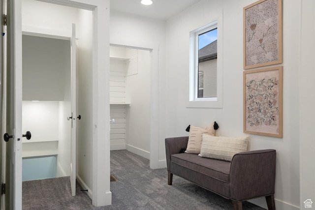 866 E Roosevelt Ave S, Salt Lake City, UT 84105 - photo 45