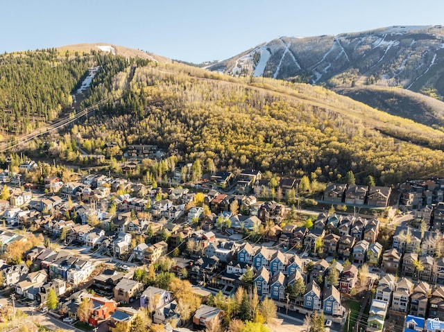 1150 Empire Ave Unit 33, Park City, UT 84060 - photo 3