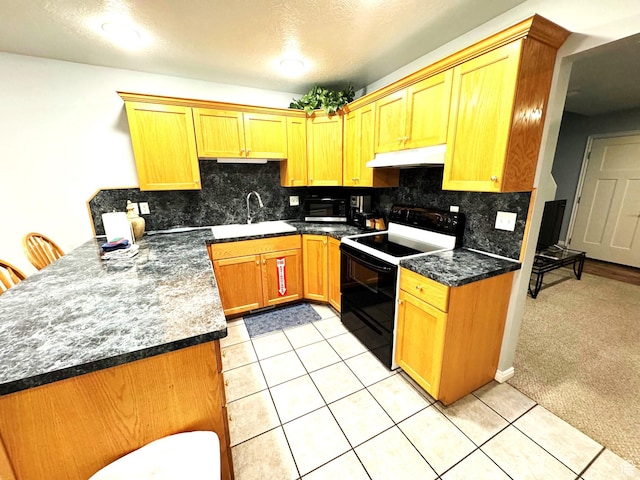 890 N Newberg Pl Unit 3, Garden City, UT 84028 - kitchen featuring electric range oven, under cabinet range hood, a peninsula, decorative backsplash, and dark countertops