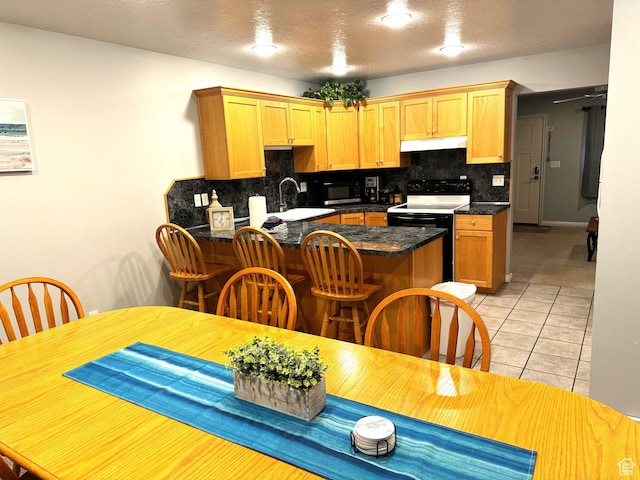 890 N Newberg Pl Unit 3, Garden City, UT 84028 - kitchen with under cabinet range hood, black / electric stove, tasteful backsplash, a peninsula, and dark countertops