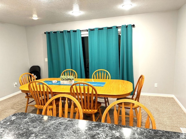 890 N Newberg Pl Unit 3, Garden City, UT 84028 - dining space featuring carpet and a textured ceiling