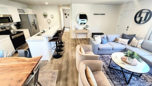 573 S Aspen Dr, Garden City, UT 84028 - living room featuring light hardwood / wood-style floors and sink