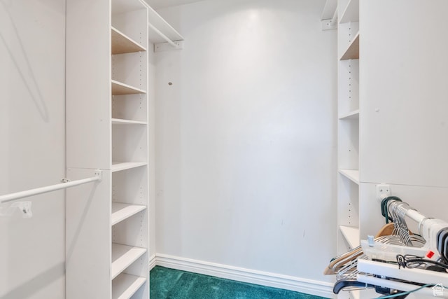 1402 Shepherd Dr, Wellington, UT 84542 - walk in closet with dark carpet