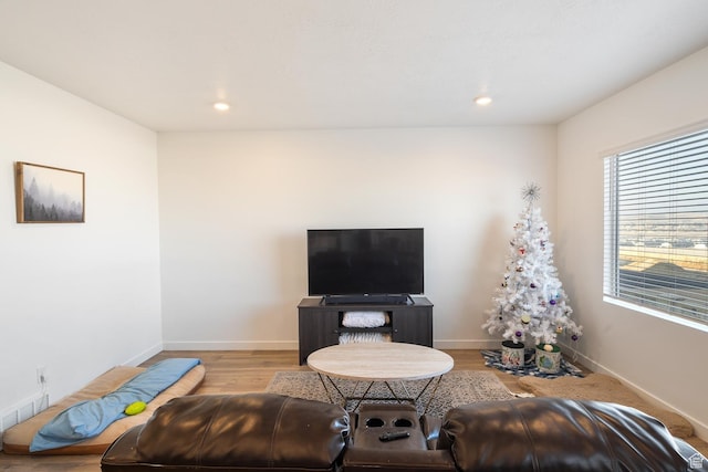 living room featuring light hardwood / wood-style flooring