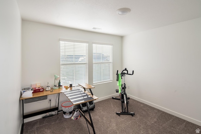 exercise area with carpet floors