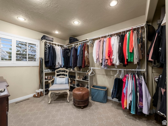 208 S 1100 E, Payson, UT 84651 - walk in closet featuring carpet floors