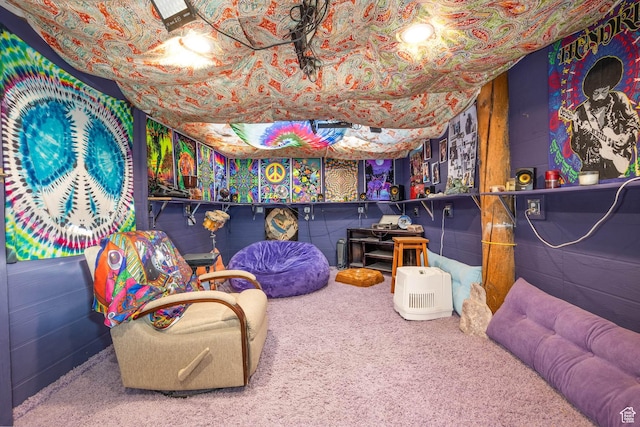208 S 1100 E, Payson, UT 84651 - rec room featuring carpet flooring