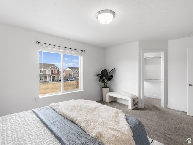 364 S 1580 E, Hyrum, UT 84319 - bedroom with carpet flooring