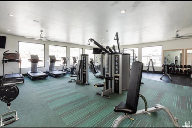 364 S 1580 E, Hyrum, UT 84319 - workout area featuring carpet, plenty of natural light, and ceiling fan
