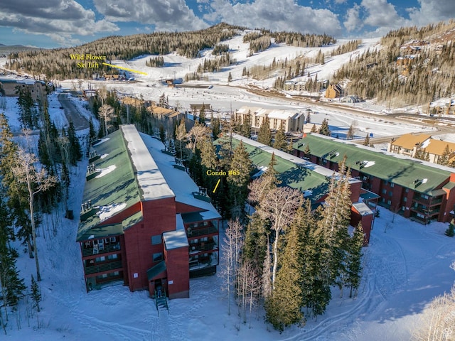407 S Vasels Rd Unit 65, Brian Head, UT 84719 - snowy aerial view with a mountain view