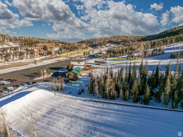407 S Vasels Rd Unit 65, Brian Head, UT 84719 - view of snowy aerial view
