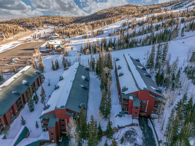 view of snowy aerial view