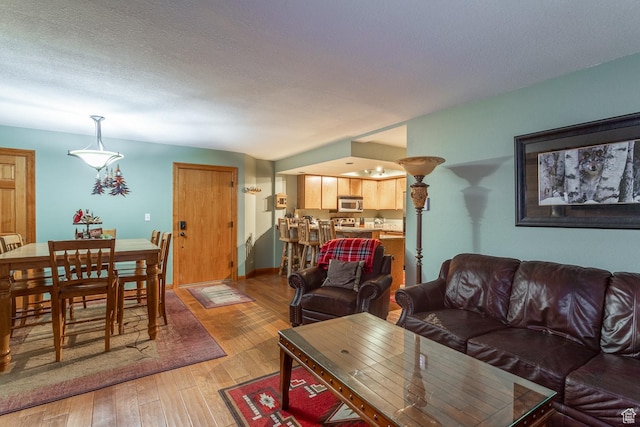 407 S Vasels Rd Unit 65, Brian Head, UT 84719 - living room with light hardwood / wood-style flooring and a textured ceiling