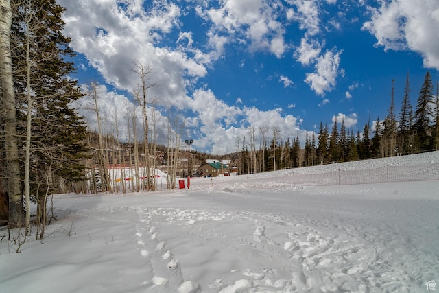407 S Vasels Rd Unit 65, Brian Head, UT 84719 - view of yard layered in snow