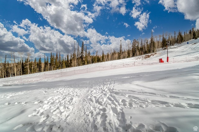407 S Vasels Rd Unit 65, Brian Head, UT 84719 - view of yard layered in snow