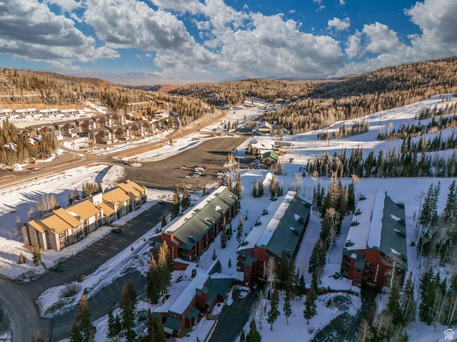 407 S Vasels Rd Unit 65, Brian Head, UT 84719 - view of snowy aerial view