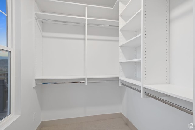 11423 S Watercourse Rd, South Jordan, UT 84009 - view of walk in closet