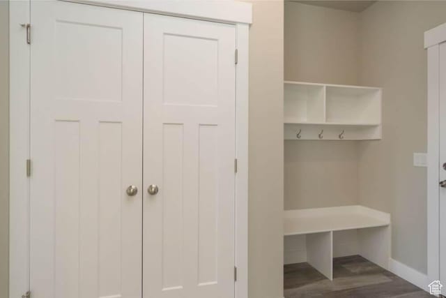 mudroom featuring wood-type flooring