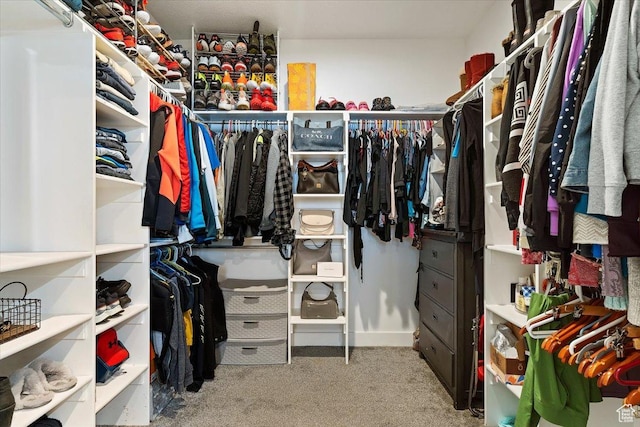 3851 N 425 E, North Ogden, UT 84414 - walk in closet with carpet