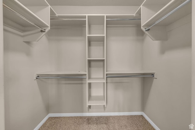 67 S 930 E, American Fork, UT 84003 - walk in closet featuring carpet