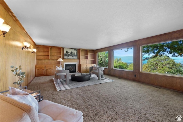 1375 E 260 N, Logan, UT 84321 - living room featuring carpet flooring, built in shelves, wood walls, and a textured ceiling