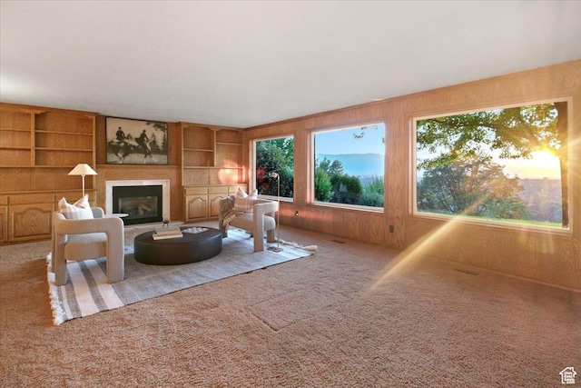 1375 E 260 N, Logan, UT 84321 - living room featuring carpet, built in features, and wooden walls