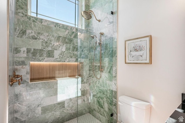 6736 E Via Cortina, Huntsville, UT 84317 - bathroom with toilet and tiled shower