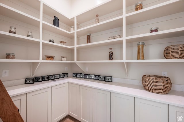 6736 E Via Cortina, Huntsville, UT 84317 - view of pantry