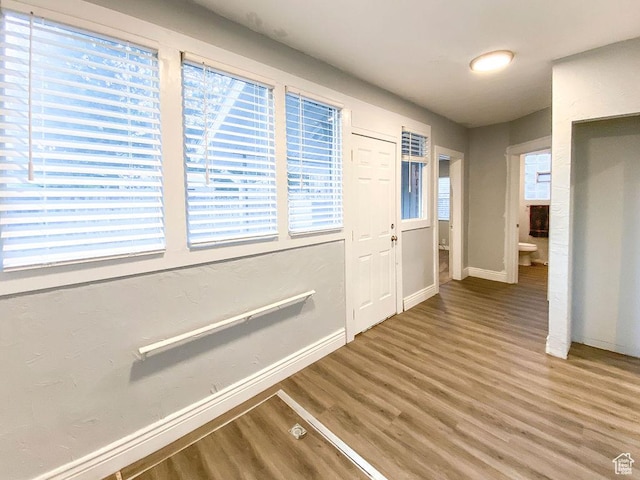 interior space with wood-type flooring