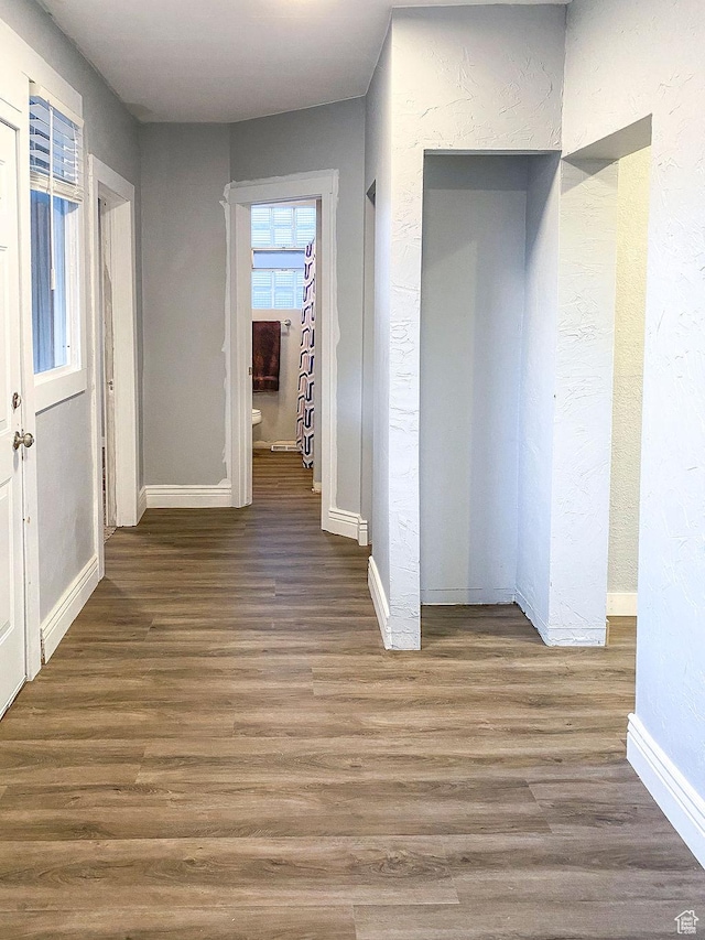corridor featuring dark hardwood / wood-style flooring