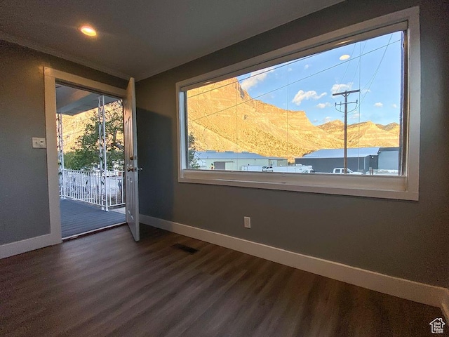 interior space with a healthy amount of sunlight, dark hardwood / wood-style flooring, and a mountain view
