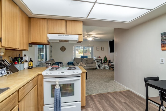kitchen featuring electric range, ceiling fan, and hardwood / wood-style floors