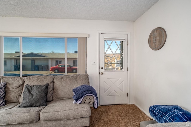 entryway featuring carpet and a textured ceiling