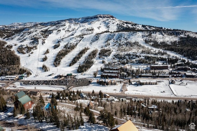 362 W Eagles Roost St Unit 46, Brian Head, UT 84719