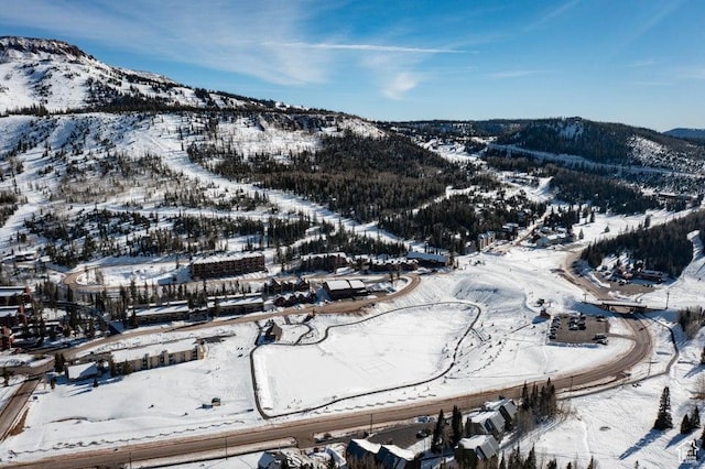 362 W Eagles Roost St Unit 46, Brian Head, UT 84719