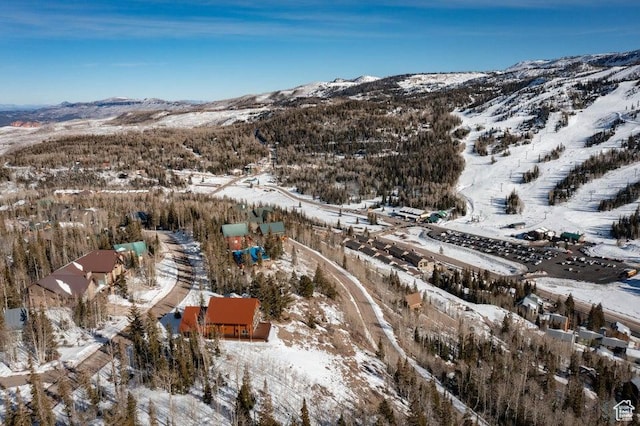 362 W Eagles Roost St Unit 46, Brian Head, UT 84719