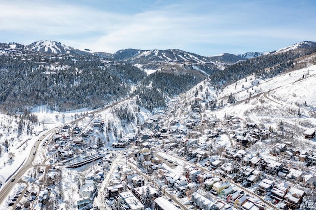 45 King Rd, Park City, UT 84060 - mountain view