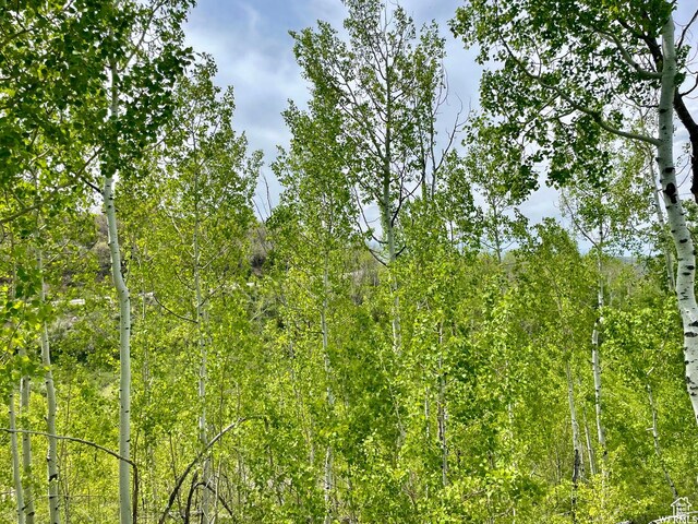 10445 E Lake Pines Dr Unit 723, Heber City, UT 84032