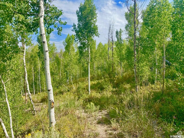 10445 E Lake Pines Dr Unit 723, Heber City, UT 84032