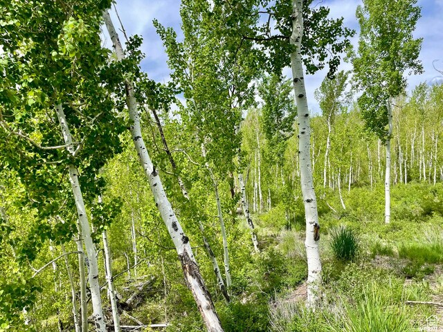 10445 E Lake Pines Dr Unit 723, Heber City, UT 84032