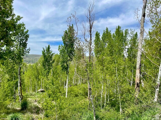 10445 E Lake Pines Dr Unit 723, Heber City, UT 84032
