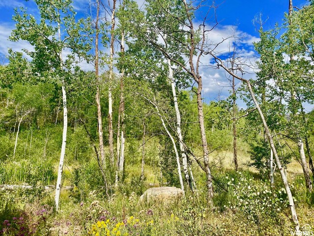10445 E Lake Pines Dr Unit 723, Heber City, UT 84032