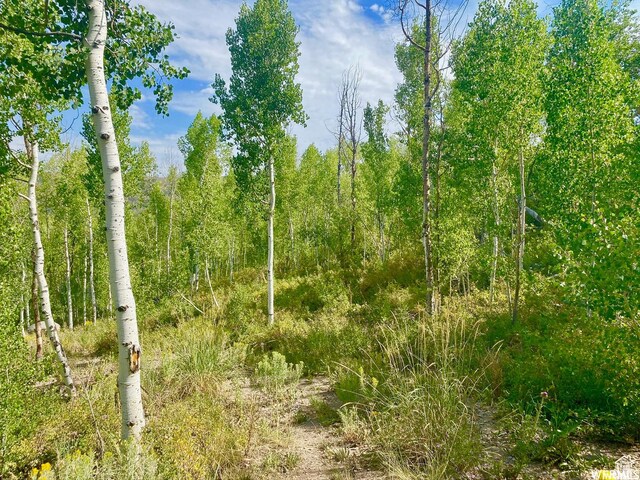 10445 E Lake Pines Dr Unit 723, Heber City, UT 84032
