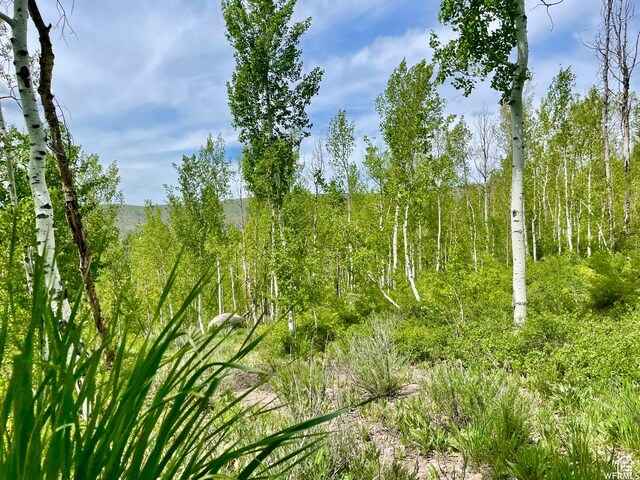 10445 E Lake Pines Dr Unit 723, Heber City, UT 84032