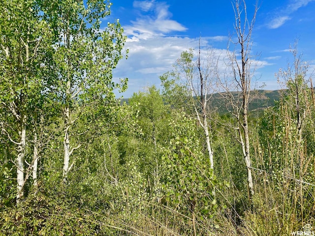 10445 E Lake Pines Dr Unit 723, Heber City, UT 84032