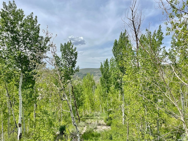 10445 E Lake Pines Dr Unit 723, Heber City, UT 84032